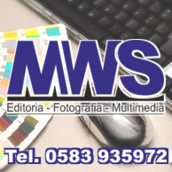 PROFESSIONAL STUDIO MWS